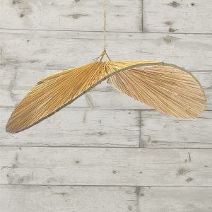 אהיל תקרה רפייה