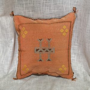 כרית סברה כתומה